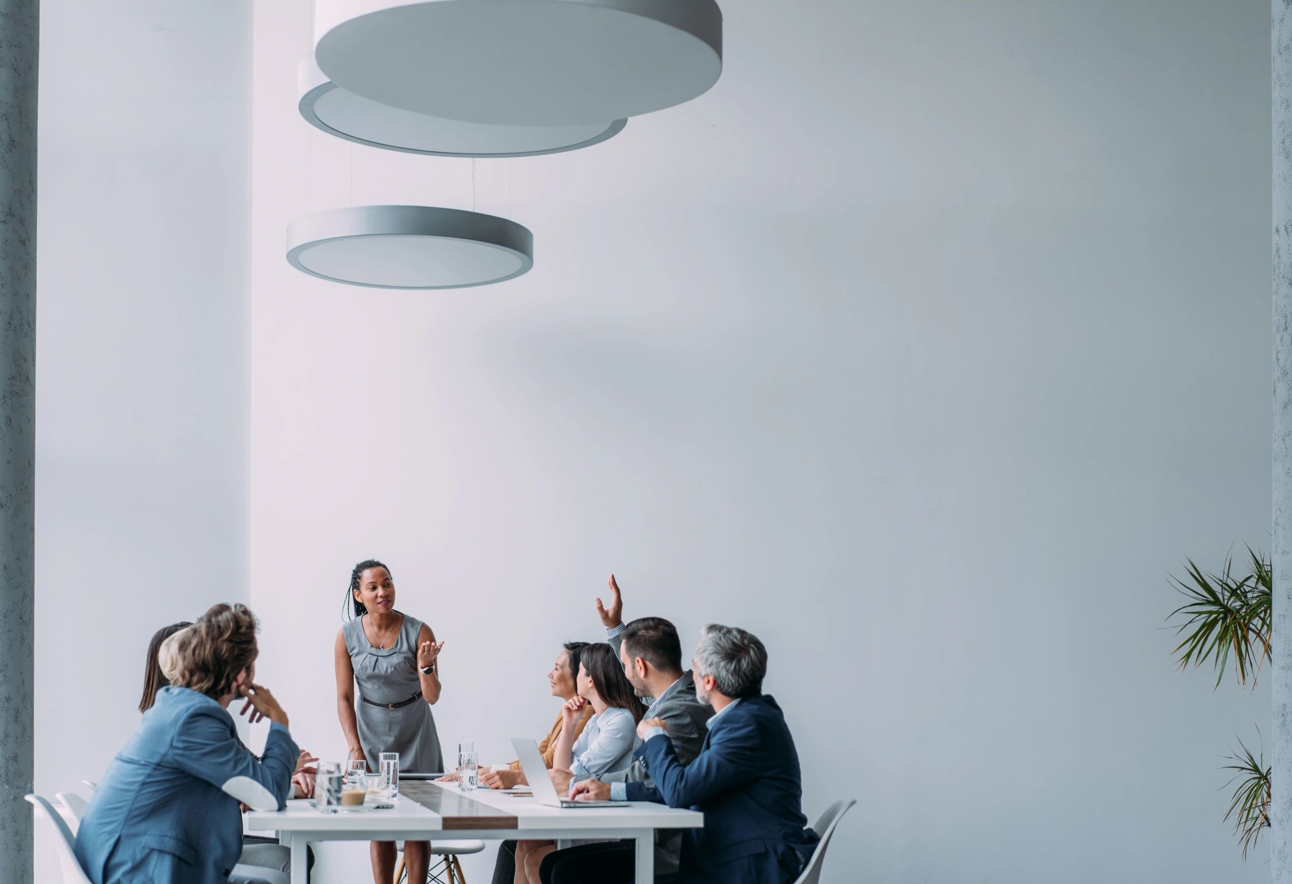 Professional consultation meeting in a modern office